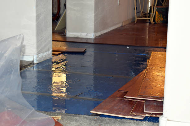 Professional Basement Flood Cleanup technician working in Hermitage, PA